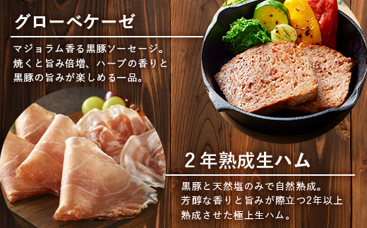 鹿児島県産 BBQ-BOX Ⅱ ハム ソーセージ ベーコン 詰め合わせ セット NS-25| かごしま 黒豚 生ハム ボロニア ウインナー ソース ジャーキー おつまみ バーベキュー 焼き肉 肉 肉汁 香ばしい 低添加製法 冷凍 鹿児島県 南大隅町 南州農場
