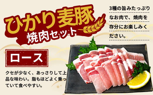 鹿児島県産 ひかり麦豚 しゃぶしゃぶ 焼肉 セット 300g×3パック 計900g ＋ 楽塩の粗びき塩こしょう | 肉 お肉 にく 豚肉 黒豚 かごしま黒豚 ロース 肩ロース バラ肉 スライス 粗挽き 塩コショウ 冷凍 真空冷凍 産地直送 新鮮 小分け 甘み 鹿児島県 南大隅町 ひかり麦豚直売所 HM-704