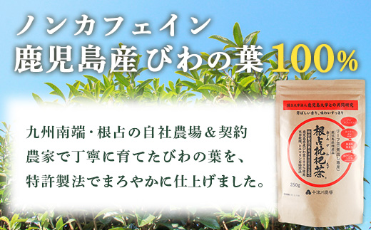 根占枇杷茶 徳用茶葉 1袋（250g入）煮出し用 TO-18-NP | ねじめ びわ茶 国産 大容量 トルマリン石 焙煎 健康茶 お茶 煮だし 飲みやすい 香ばしい おいしい びわの葉 ネコポス 鹿児島県 南大隅町 十津川農場