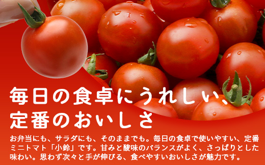 田淵さんちの美味しい ミニトマト 小鈴（約1kg）GP-708｜野菜 トマト ミニトマト 産地直送 新鮮 おいしい お弁当 サラダ 南大隅町 鹿児島県 根占グリーンプラネット