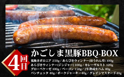 【全6回】極みの かごしま 黒豚定期便 NS-36 | 鹿児島 かごしま 豚 豚肉 ぶた おかず しゃぶしゃぶ 餃子 味噌漬け 生ハム 生姜焼き ハンバーグ ウインナー ハム ソーセージ 焼き豚 切り落とし もも肉 肩ロース バラ 人気 贈答 ギフト定期便 鹿児島県 南大隅町