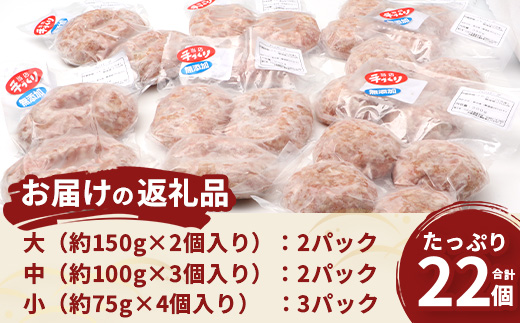 鹿児島県産 ひかり麦豚 手捏ねハンバーグ セット サイズ違い 大中小 計22個 | 肉 お肉 にく 豚肉 黒豚 かごしま黒豚 手ごね 絶品 ハンバーグ 添加物不使用 肉汁 ジューシー おかず お弁当 ロコモコ 冷凍 産地直送 小分け 甘み 鹿児島県 南大隅町 ひかり麦豚直売所 HM-705