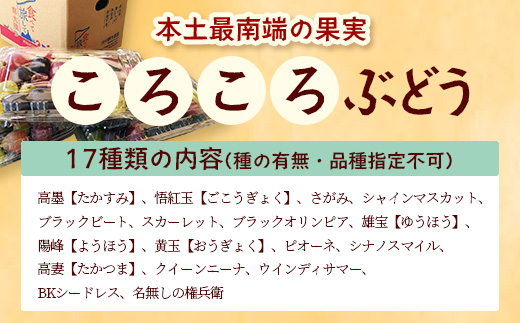 ＜訳あり＞ 本土最南端 ぶどう　ころころぶどうパック 約1.2㎏ ｜訳あり 家庭用 産地直送 旬 ブドウ 葡萄 ぶどう フルーツ 果物 くだもの 　TE707