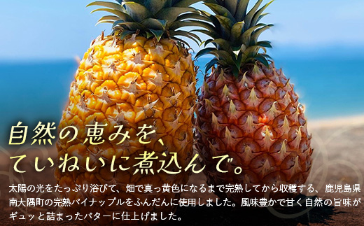 絶品！南大隅町産 【パイナップルバター】約160g× 2瓶 HB-3 ｜パイナップル バター フルーツ ジャム 加工品 スプレッド 国産 南国フルーツ 手作り 鹿児島県  南大隅町 hello! brand new days　