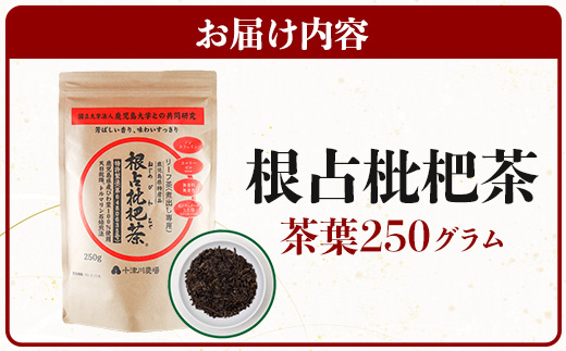 根占枇杷茶 徳用茶葉 1袋（250g入）煮出し用 TO-18-NP | ねじめ びわ茶 国産 大容量 トルマリン石 焙煎 健康茶 お茶 煮だし 飲みやすい 香ばしい おいしい びわの葉 ネコポス 鹿児島県 南大隅町 十津川農場