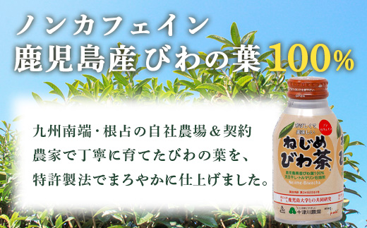 鹿児島県産 ねじめびわ茶 ボトル缶 1ケース（290ml×24本入り）ノンカフェイン TO-403 | 国産 お茶 健康茶 カロリーゼロ 缶 持ち運び 無香料 無着色 ポリフェノール さわやか 甘み 香ばしい おいしい びわの葉 産地直送 鹿児島県 南大隅町 十津川農場