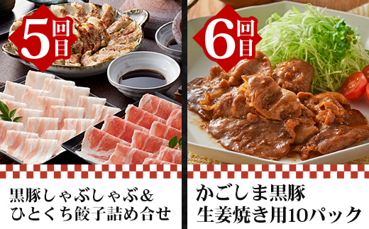 【全12回】至福の かごしま黒豚 味わい定期便 NS-37 | 鹿児島 かごしま 豚 豚肉 ぶた おかず しゃぶしゃぶ 餃子 味噌漬け 生ハム 生姜焼き ハンバーグ ウインナー ハム ソーセージ 焼き豚 切り落とし もも肉 肩ロース バラ 人気 定期便 鹿児島県 南大隅町