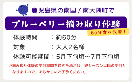 鹿児島県の南国！南大隅町の農園で、ブルーベリー摘み取り体験♪ ブルーベリー摘み取り体験チケット （60分食べ放題）≪大人2名様分≫ BO-4｜鹿児島県 南大隅町 農園 収穫体験 果物 ブルーベリー チケット 体験 本土最南端