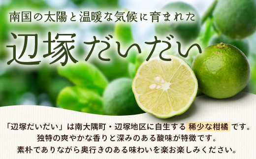 辺塚だいだい 約2kg NK-1|果物 柑橘 辺塚だいだい へつか 産地直送 詰め合わせ 2kg 国産 新鮮 おすすめ 人気 南大隅町