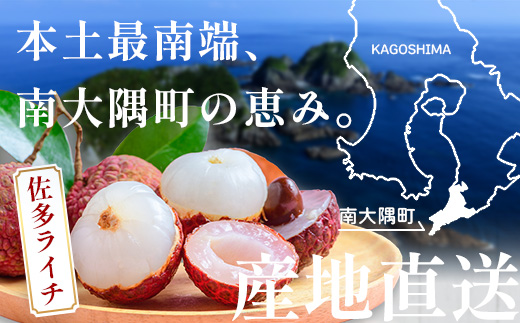 【期間限定・数量限定】 2026年7月より順次発送予定 生でお届け 佐多ライチ 約12粒～20粒 SG-1｜生ライチ 産地直送 新鮮 フレッシュライチ 国産ライチ フルーツ 果物 希少 鹿児島県 本土最南端 しげひさ農園