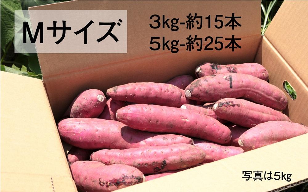 さつまいも 紅はるか 堀りたて 3kg ( 1箱 ) Mサイズ  新物 鹿児島県産 2024年12月末までに出荷