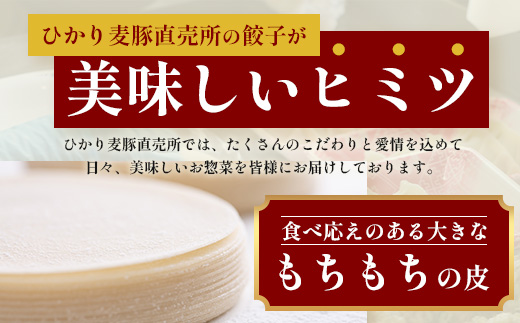 鹿児島県産 ひかり麦豚 ちょっと大きな 餃子 42個 セット | 肉 お肉 にく 豚肉 黒豚 かごしま黒豚 ミンチ 肉汁 ジューシー 食べ応え抜群 焼き餃子 水餃子 おかず お弁当 冷凍 パック 産地直送 鹿児島県 南大隅町 ひかり麦豚直売所 HM-707