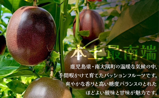南大隅町産パッションフルーツで作るリリコイバスクチーズケーキ