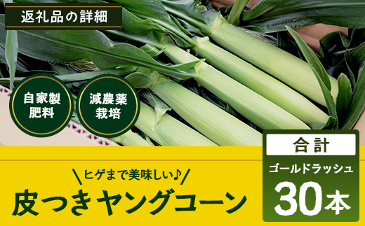 【2026年先行予約】【数量限定】 ヒゲまで美味しい 皮つき ヤングコーン 30本 （FR-520）