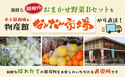 【規格外】本土最南端から 旬のおまかせ野菜セットB 12品目以上 NI-6｜ 旬 野菜 やさい 果物 くだもの 産地直送 農産物 冷蔵 鹿児島県 南大隅町産 詰合せ おまかせ 家庭用 訳あり なんたん市場