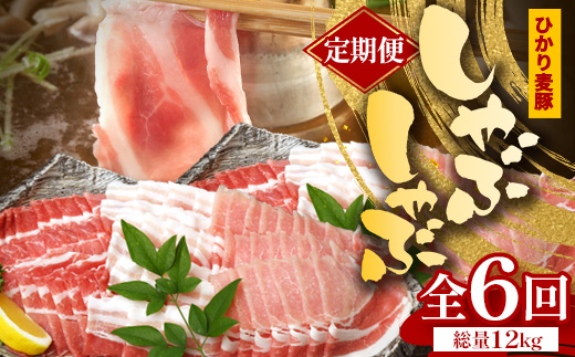 【定期便全6回】鹿児島県産 ひかり麦豚 しゃぶしゃぶ 食べ比べセット ≪合計約12kg≫ （200g×60パック） トレーなし 冷凍 HM-17 | 肉 お肉 にく 豚肉 ロース 肩ロース バラ肉 スライス 冷凍 真空冷凍 産地直送 新鮮 小分け 甘み 産地直送 鹿児島県 南大隅町 ひかり麦豚直売所