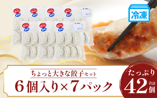 鹿児島県産 ひかり麦豚 ＼＼ちょっと大きな 餃子 42個セット／／ HM-707 | ぎょうざ ギョウザ 食べ応え抜群焼き餃子 水餃子 豚肉 おかず お弁当 冷凍 トレーなし パック 小分け 産地直送 鹿児島県 南大隅町 ひかり麦豚直売所