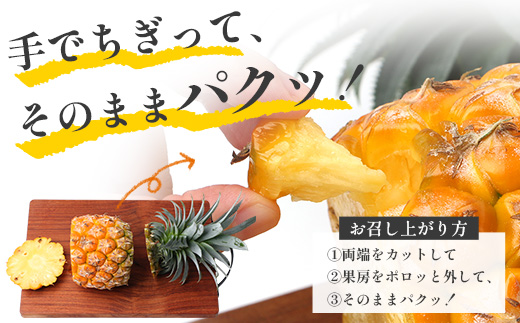 【先行受付】パイナップル/ボゴール種 (約800g×6玉) ≪2026年7月下旬以降順次発送≫  DS-1｜パイン パイナップル パインアップル フルーツ ボゴールパイン スナックパイン 産地直送 旬 送料無料 鹿児島県 南大隅町 株式会社デラセーラ