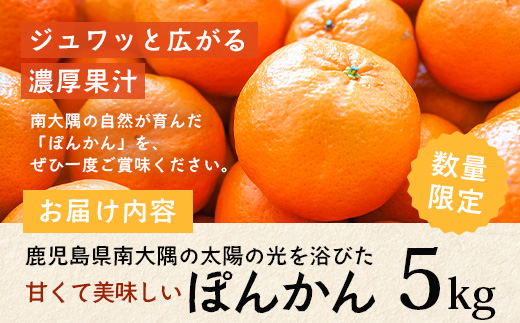【先行予約・数量限定】南大隅の太陽浴びた甘くて・おいしい ぽんかん 5kg【2026年1月中旬以降順次発送】｜ぽんかん ポンカン 柑橘 甘い 果物 新鮮 産地 直送 先行予約 おすすめ 人気 南大隅町(ID-1)