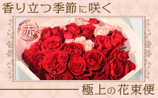 【先行予約】【人気の春・冬薔薇をお届け】ばら農家直送！バラ花束15本以上お届け(赤系) 【ギフト対応可】│ローズ 新鮮 花 フラワー 花束 ばら 薔薇 バラ 誕生日 記念日 結婚祝い ギフト プレゼント お祝い 贈り物 贈答 鹿児島県 南大隅町 富田バラ園 TB-9