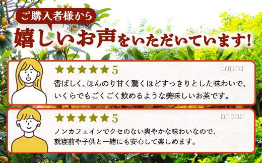 『ねじめびわ茶24』ティーバッグ【5袋】　ノンカフェイン