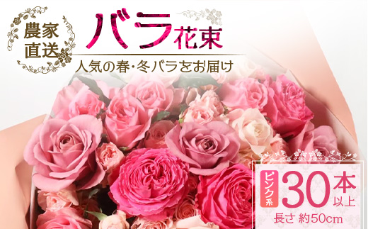 【先行予約】【人気の春・冬薔薇をお届け】ばら農家直送！バラ花束30本以上お届け(ピンク系) 【ギフト対応可】│ローズ 新鮮 花 フラワー 花束 ばら 薔薇 バラ 誕生日 記念日 結婚祝い ギフト プレゼント お祝い 贈り物 贈答 鹿児島県 南大隅町 富田バラ園 TB-14
