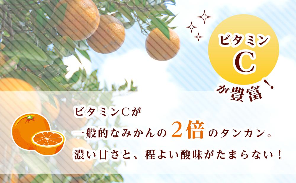 ≪2025年2月下旬以降発送≫先行予約 タンカン 10kg (サイズ指定不可) 数量限定