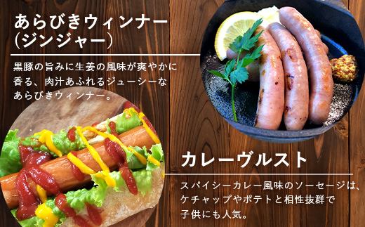 鹿児島県産 BBQ-BOXⅠ ハム ソーセージ ベーコン 詰め合わせ セット NS-24 | かごしま 黒豚 生ハム ボロニア ウインナー ソース ジャーキー おつまみ バーベキュー 焼き肉 肉 肉汁 香ばしい 低添加製法 冷凍 鹿児島県 南大隅町 南州農場
