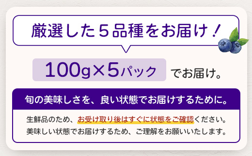 【期間限定】南大隅産 (生)ブルーベリー / 食べ比べセット (5品種) ≪100g×5P≫ BB-2｜鹿児島県 南大隅町 旬 産地直送 果物 ブルーベリー フルーツ くだもの 新鮮 農園 冷蔵 本土最南端