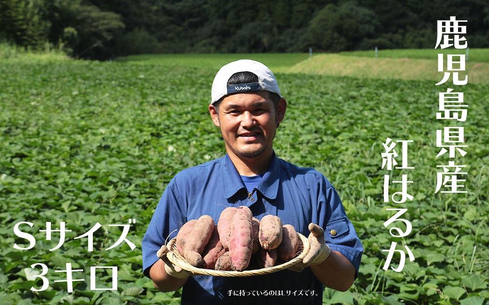 さつまいも 紅はるか 堀りたて 3kg ( 1箱 ) Sサイズ 新物 鹿児島県産 2024年12月末までに出荷