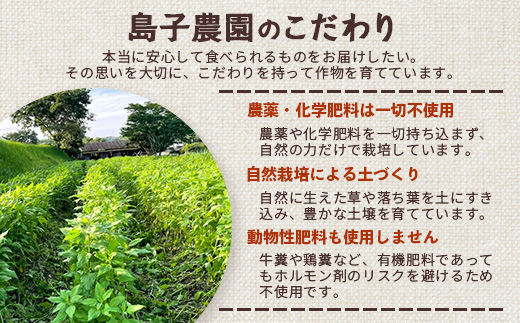 自然栽培で育てた ノンカフェインの菊芋コーヒー【３袋】