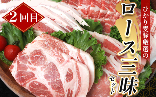 《先行受付～2026年1月中旬より順次発送～》【定期便全3回】ひかり麦豚定期便 ≪月替わりで楽しむ豚肉セット！しゃぶしゃぶ・ロース肉・焼肉セットをお届け！≫ 冷凍 HM-18 |肉 お肉 にく 豚肉 精肉 焼き肉 焼肉 やきにく バーベキュー ロース肉 肩ロース バラ肉 生姜焼き とんかつ しゃぶしゃぶ 真空冷凍 産地直送 小分け パック 手作り 鹿児島県 南大隅町 ひかり麦豚直売所