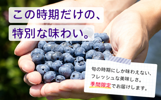 鹿児島県の南国！南大隅町の農園で、ブルーベリー摘み取り体験♪ ブルーベリー摘み取り体験チケット ≪大人2名様分≫ BO-4｜鹿児島県 南大隅町 農園 収穫体験 果物 ブルーベリー チケット 体験 本土最南端