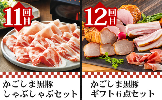 【全12回】至福の かごしま黒豚 味わい定期便 NS-37 | 鹿児島 かごしま 豚 豚肉 ぶた おかず しゃぶしゃぶ 餃子 味噌漬け 生ハム 生姜焼き ハンバーグ ウインナー ハム ソーセージ 焼き豚 切り落とし もも肉 肩ロース バラ 人気 定期便 鹿児島県 南大隅町