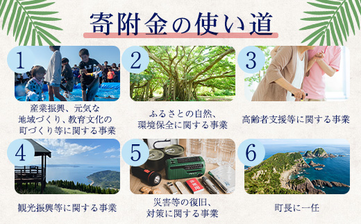 【返礼品なし】南大隅町への寄附　1口50,000円