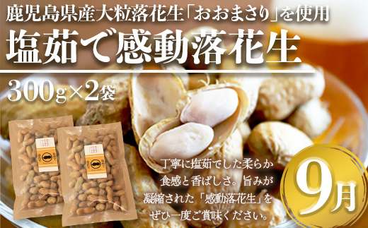 【定期便・年4回】農家の感動シリーズA(約9.1kg) FR-1｜冷凍焼き芋 ゴールドラッシュ とうもろこし 塩茹で 落花生 ピーナッツ 芋 さつまいも 紅はるか 野菜定期便 旬 産地直送 サラダ 南大隅町