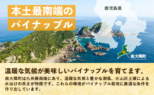 【先行予約・数量限定！】国産パイナップル　約3ｋg（3～5玉）～なか農園おまかせセット～ NK-001｜パイナップル パイン フルーツ 果物 くだもの 先行予約 数量限定 産地直送 新鮮 旬 ハワイ種 ピーチパイン ゴールドダイヤモンド ボゴール なか農園 鹿児島県 南大隅 