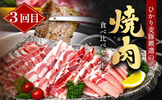 《先行受付～2026年1月中旬より順次発送～》【定期便全3回】ひかり麦豚定期便 ≪月替わりで楽しむ豚肉セット！しゃぶしゃぶ・ロース肉・焼肉セットをお届け！≫ 冷凍 HM-18 |肉 お肉 にく 豚肉 精肉 焼き肉 焼肉 やきにく バーベキュー ロース肉 肩ロース バラ肉 生姜焼き とんかつ しゃぶしゃぶ 真空冷凍 産地直送 小分け パック 手作り 鹿児島県 南大隅町 ひかり麦豚直売所