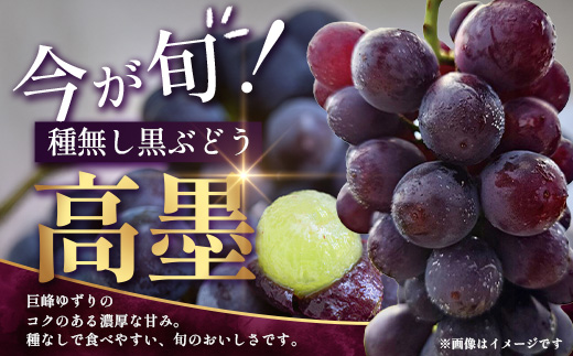 【期間限定・数量限定】本土最南端のぶどう 高墨 約2kg(4～6房）種無し TE-2｜ 黒ぶどう たかすみ 産地直送 旬 ブドウ 葡萄 ぶどう フルーツ 果物 くだもの 果実 巨峰 枝変わり 鹿児島県 南大隅町 有限会社ティエラ　