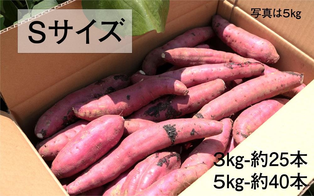 さつまいも 紅はるか 堀りたて 5kg ( 1箱 ) Sサイズ  新物 鹿児島県産 2024年12月末までに出荷