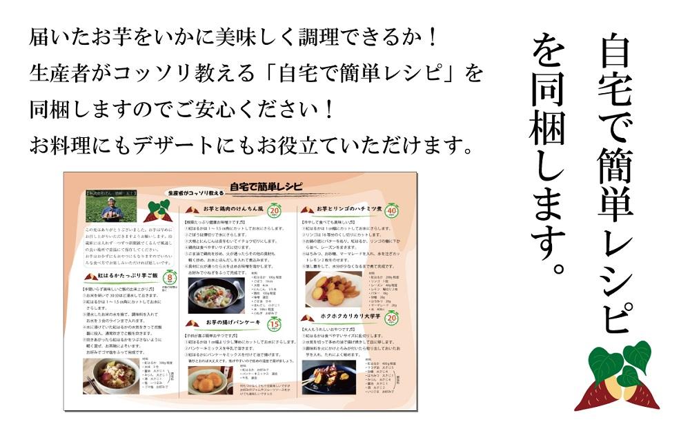 訳あり さつまいも 紅はるか 堀りたて5kg ( 1箱 ) 新物 鹿児島県産 2024年12月末までに出荷