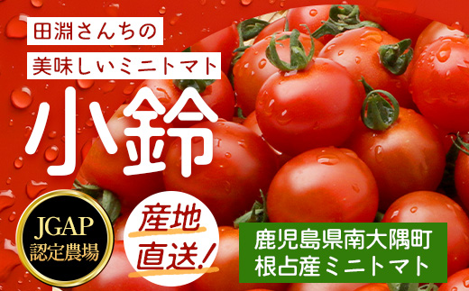 [数量限定]ミニトマト２種食べ比べセット(350g×２種) GP-3｜ミニトマト 野菜 やさい 食品 人気 おすすめ 美味しい 産地直送 小鈴 シュガープラム 食べ比べ セット 鹿児島県 南大隅町 根占グリーンプラネット