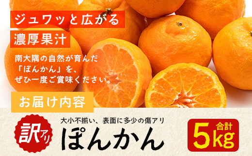 【訳あり】《先行予約》南大隅の太陽浴びた甘くて・おいしい ぽんかん 約5kg【数量限定】＜2026年1月中旬以降順次発送＞ ID-2｜訳あり 訳アリ ぽんかん ポンカン 柑橘 カンキツ 柑橘類 詰め合わせ 産地直送 先行予約 おすすめ 人気 南大隅町