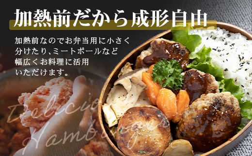 [冷凍 ]鹿児島県産 黒豚生ハンバーグセット（8個入）NS-12 ❘ 肉 お肉 豚肉 豚 にく ぶた かごしま黒豚 ハンバーグ おかず ジューシー 小分け ギフト おかず お弁当 国産 鹿児島県 南大隅町 南州農場