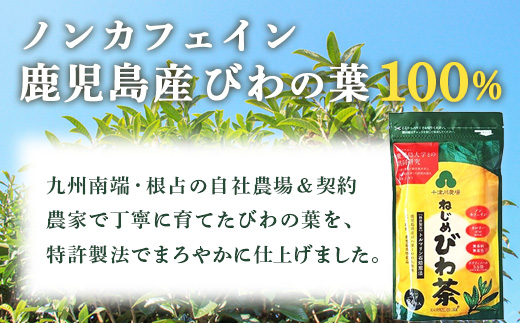【定期便 全4回】 ねじめびわ茶 合計480包 ≪ 1回あたり120包 (24包入×5袋) ≫ 3か月毎のお届け TO-522｜国産 お茶 健康茶 カロリーゼロ 無香料 無着色 ポリフェノール さわやか 甘み 香ばしい おいしい トルマリン石焙煎 びわの葉 大容量 産地直送 鹿児島県 南大隅町 十津川農場