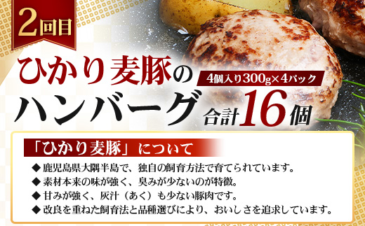 ≪定期便3回≫南大隅町 大人気店の自慢の味 コラボ定期便 NI-9｜本土最南端 加工品 惣菜 おかず お弁当 月替わり 毎月おとどけ 焼くだけ バラエティ 食べ比べ 3回 簡単調理 ストック 精肉店 ファーム 豚 鹿児島県 南大隅町 なんたん市場