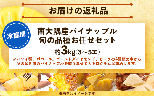 【先行予約・数量限定！】国産パイナップル　約3ｋg（3～5玉）～なか農園おまかせセット～ NK-001｜パイナップル パイン フルーツ 果物 くだもの 先行予約 数量限定 産地直送 新鮮 旬 ハワイ種 ピーチパイン ゴールドダイヤモンド ボゴール なか農園 鹿児島県 南大隅 