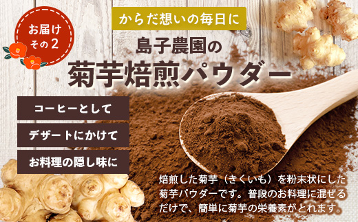 【福袋】白菊芋まるごと満喫３種セット SK-15-fb｜ コーヒー 菊芋 白色菊芋 コーヒー パウダー 菊芋せんべ ノンカフェイン 野菜茶 きくいも お茶 焙煎 ギフト グルメ 鹿児島県 南大隅町 島子農園 福袋