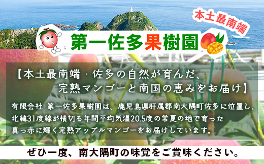 ≪先行予約・数量限定≫【訳あり】 ☆本土最南端☆佐多の果樹園で育てた 完熟アップルマンゴー1kg (2～3玉) 家庭用【2026年7月上旬以降順次発送】 ST-409 ｜鹿児島県 南大隅町 産地直送 旬 マンゴー フルーツ 果物 訳アリ わけあり 家庭用 第一佐多果樹園