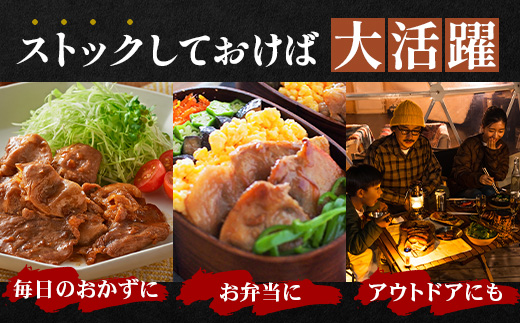 鹿児島県産 黒豚生姜焼きセット 約100g×10枚 味付き肉 冷凍 NS-23| 鹿児島 黒豚 かごしま黒豚 お肉 肉 豚肉 しょうが焼き 焼くだけ 味付き おかず お弁当 加工肉 真空パック 鹿児島県 南大隅町 南州農場